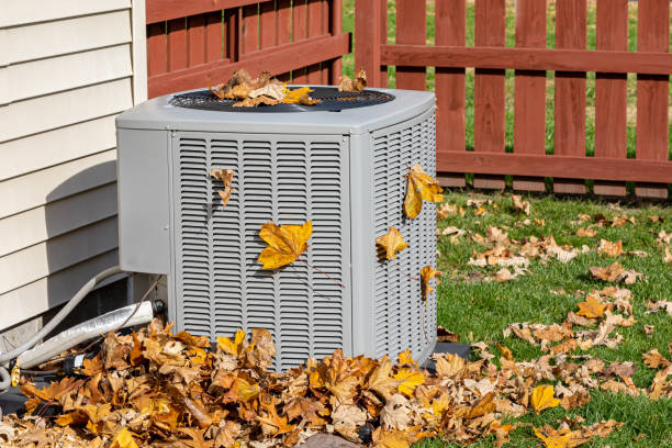 Best HVAC air duct cleaning  in Grayvle, IL